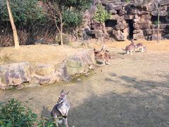 -杭州少年儿童公园
