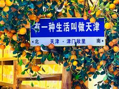 -古文化街旅游区