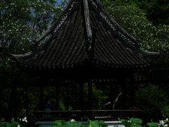 -上海醉白池公园