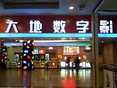 -大地影院(上海南汇店)