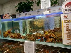 -超级物种·波龙工坊(国贸店)