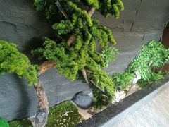 -俏东方·海味水饺·青岛菜(崂山店)