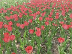 -廊坊文化艺术中心