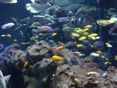 -成都浩海立方海洋公园