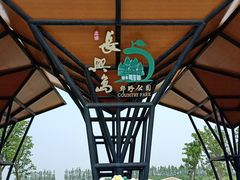 -上海长兴岛郊野公园