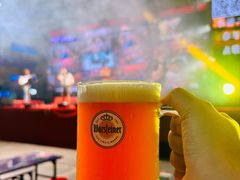 -第35届青岛国际啤酒节