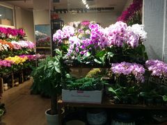 -双季花艺园艺市场(浦东店)