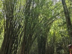 -英西峰林·洞天仙境
