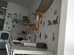 -我爱猫咪·猫咖·狗咖·安哥拉兔·羊驼咖(小寨华旗店)