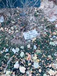 -THE LOG SALON 记录