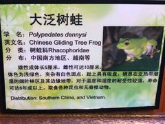 -上海大自然野生昆虫馆(东方明珠·爬宠昆虫探索中心)