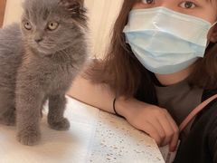 -宠爱国际动物医院·消化内科·心肾内科·ISFM猫友好(望京店)