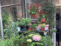 -金陵花卉交易市场