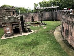 -南昌动物园