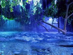 -成都浩海立方海洋公园