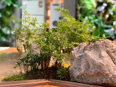 -森味薪火烧•烧鸟居酒屋•日本料理(望京店)