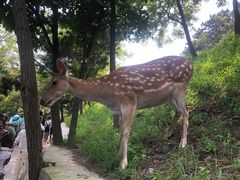 -大连森林动物园