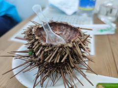 -海胆小馆(东北水饺·春柳店)