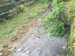 -老娘舅(西湖文化广场店)