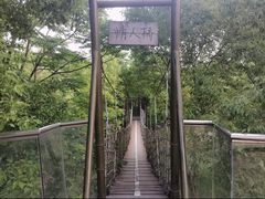 -武汉园博园(武汉自然博物馆)