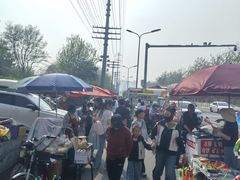 -燕郊植物园