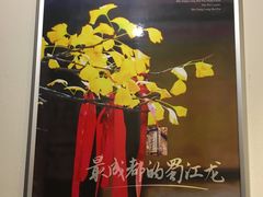 -蜀江龙火锅(339店)