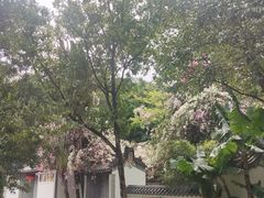 -深圳国际园林花卉博览园