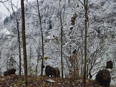 -太阳湾风景区