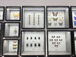 -酷嗒动物文化乐园(cutezoo西溪乐天城店)