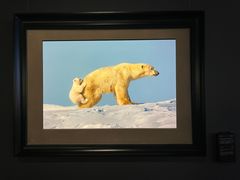 -罗红摄影艺术馆