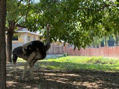 -石家庄市动物园