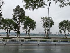 -张坝桂圆林公园