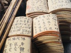 -三水森林公园