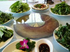 -上海多利农业发展有限公司