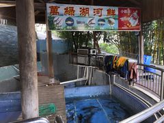 -鲤鱼塘农家山庄