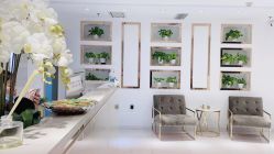 -MIVI野生眉纹绣纹眉