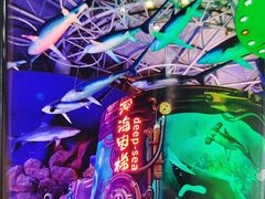 -烟台海昌鲸鲨海洋公园