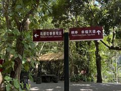 -呀诺达热带雨林