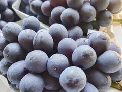 -马陆小张葡萄园农家乐