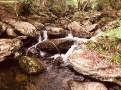 -燕子河大峡谷天坑仙境