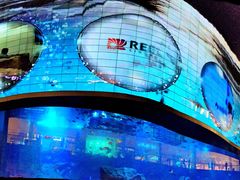 -迪拜水族馆及水下动物园