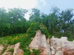 -竹子庵公园
