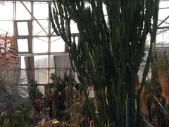 环境-北京植物园-展览温室
