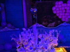 -钱莊party生日聚会KTV(厚街店)