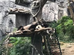 -石排湾郊野公园