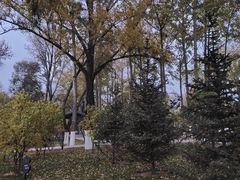 -西宁市人民公园(城西区)