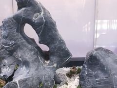 -马家斑.鲜鱼火锅(松湖万科店)
