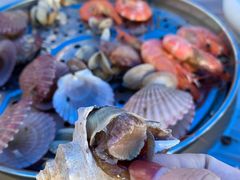 -大锅强·蒸海鲜青岛菜(金沙滩店)