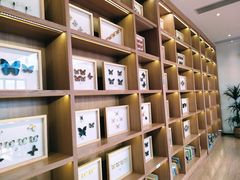 -艾溪湖湿地公园