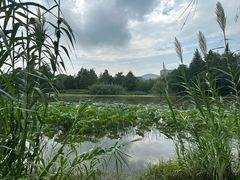 -长广溪湿地公园